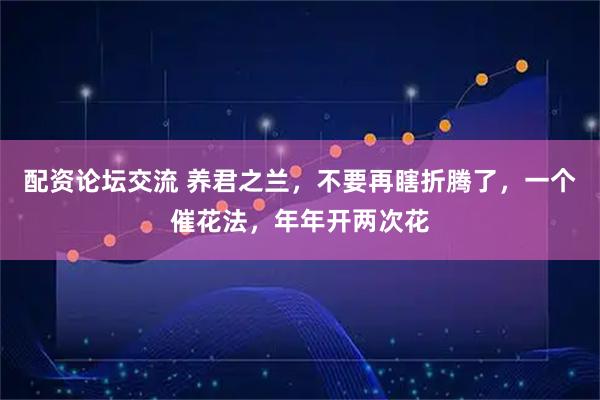 配资论坛交流 养君之兰，不要再瞎折腾了，一个催花法，年年开两次花